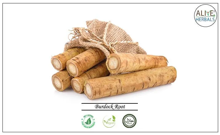 Burdock Root