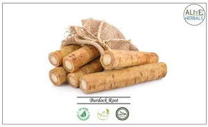 Burdock Root