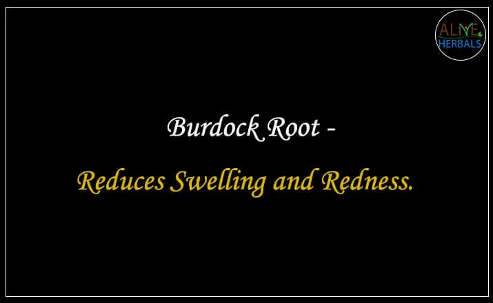 Burdock Root