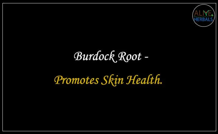 Burdock Root