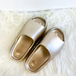 CHAMPAGNE CLOUD SLIDES