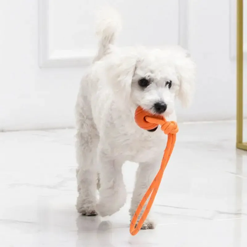 Cotton Rope Dog Training Ball Nontoxic Durable Interactive Toy