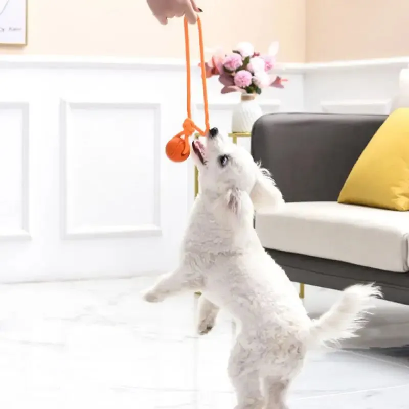 Cotton Rope Dog Training Ball Nontoxic Durable Interactive Toy
