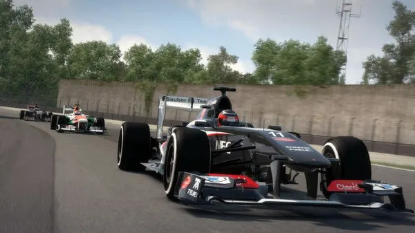 F1 2013 (PC/MAC)