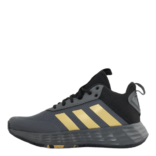 Ownthegame 2.0 Shoes Grey Five / Matte Gold / Core Black