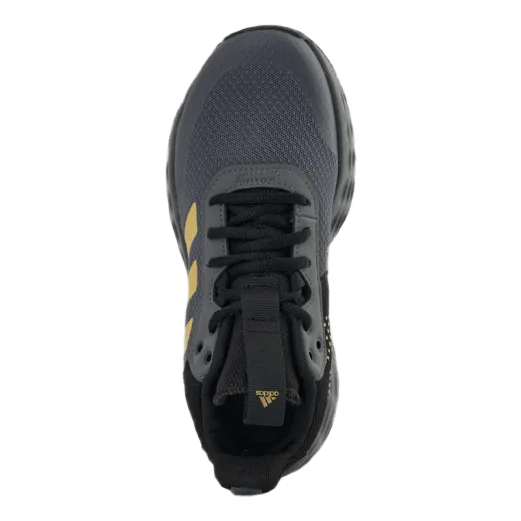 Ownthegame 2.0 Shoes Grey Five / Matte Gold / Core Black