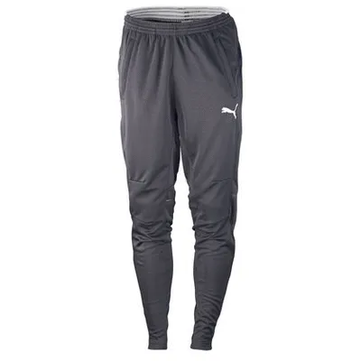 Puma Training Pant - Grey/White